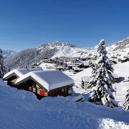 Chalet Enzian 利德阿尔卑斯 外观 照片