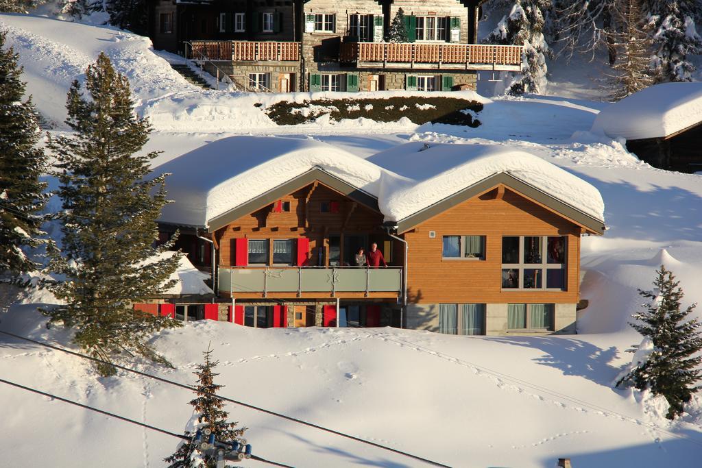 Chalet Enzian 利德阿尔卑斯 外观 照片