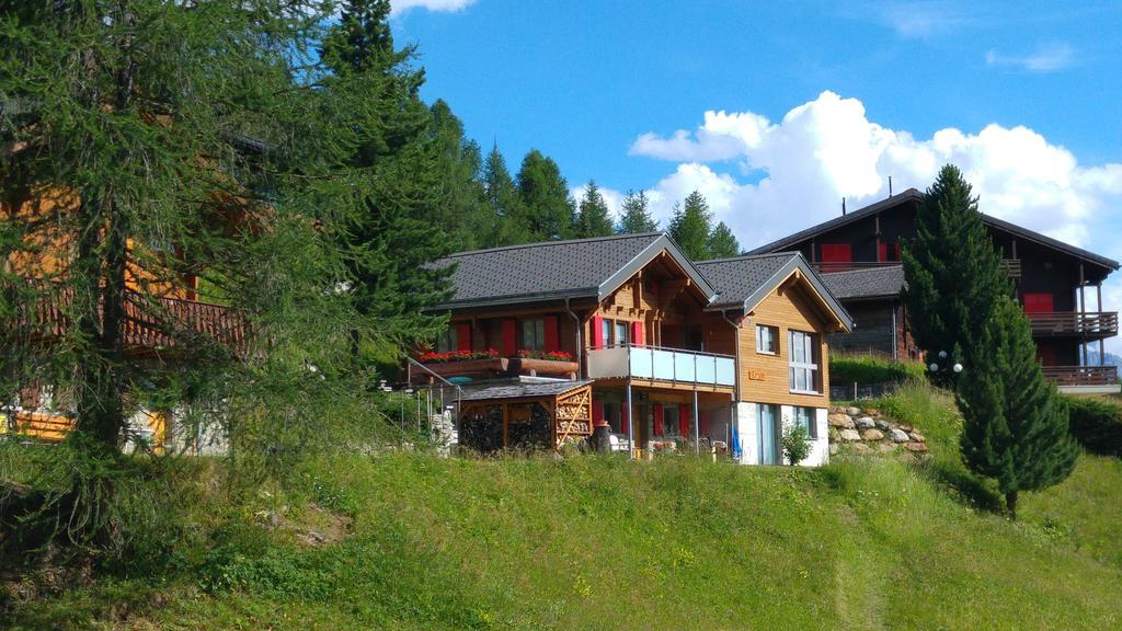 Chalet Enzian 利德阿尔卑斯 外观 照片