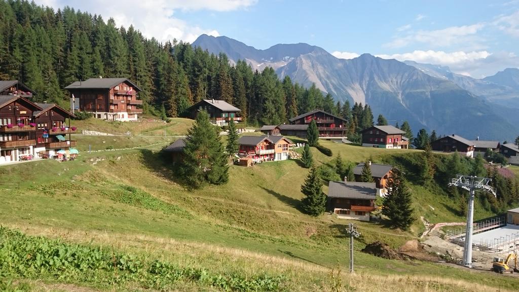 Chalet Enzian 利德阿尔卑斯 外观 照片