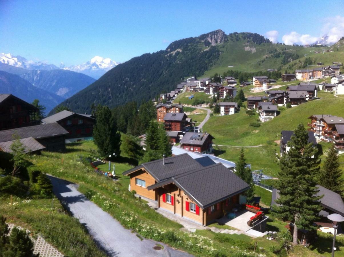 Chalet Enzian 利德阿尔卑斯 外观 照片